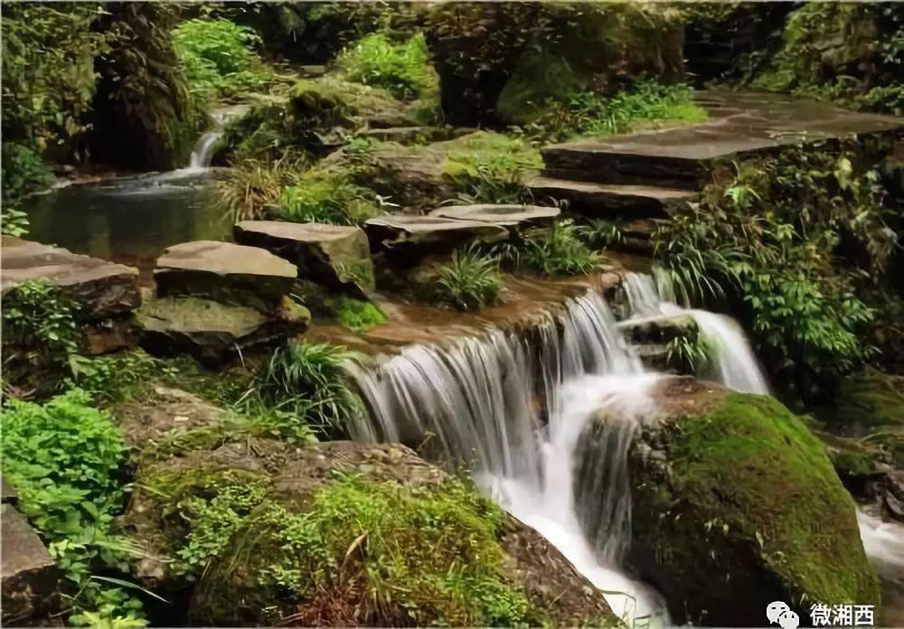 逃离粉红岛